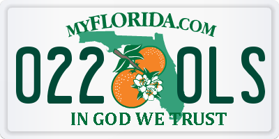FL license plate 0220LS
