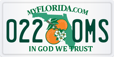 FL license plate 0220MS