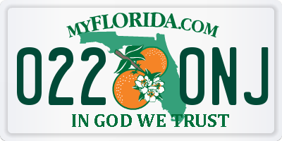 FL license plate 0220NJ