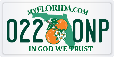 FL license plate 0220NP