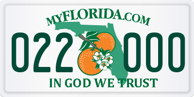FL license plate 0220OO