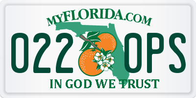 FL license plate 0220PS
