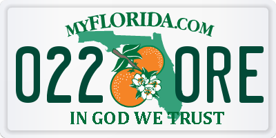 FL license plate 0220RE
