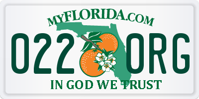 FL license plate 0220RG