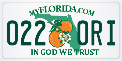 FL license plate 0220RI