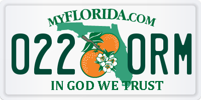 FL license plate 0220RM