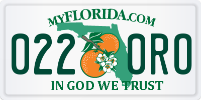 FL license plate 0220RO