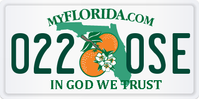 FL license plate 0220SE