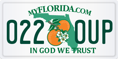 FL license plate 0220UP