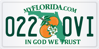 FL license plate 0220VI
