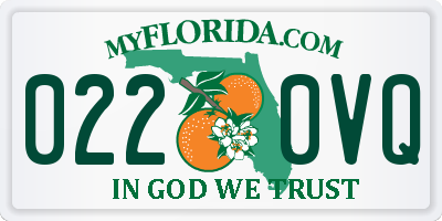 FL license plate 0220VQ
