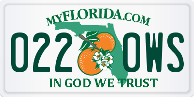 FL license plate 0220WS