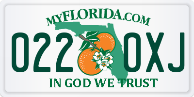 FL license plate 0220XJ