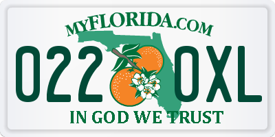 FL license plate 0220XL