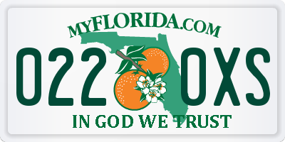 FL license plate 0220XS