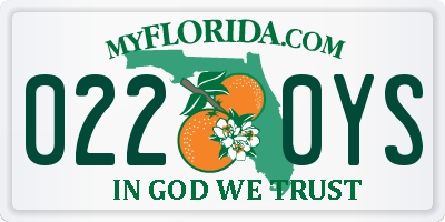 FL license plate 0220YS
