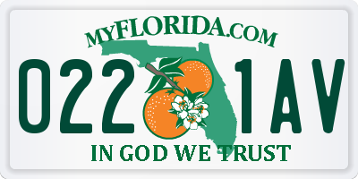 FL license plate 0221AV