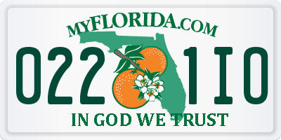 FL license plate 0221IO
