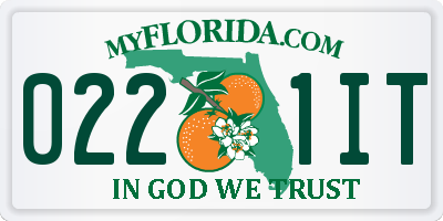 FL license plate 0221IT