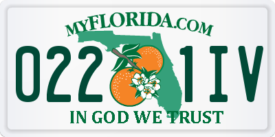 FL license plate 0221IV