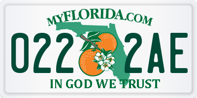 FL license plate 0222AE