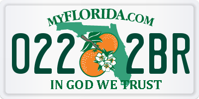 FL license plate 0222BR