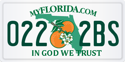 FL license plate 0222BS