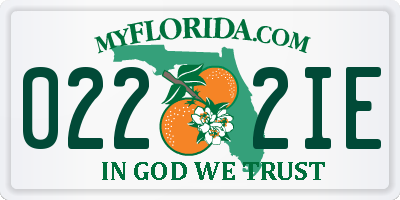 FL license plate 0222IE