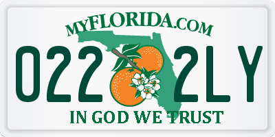 FL license plate 0222LY