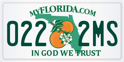FL license plate 0222MS