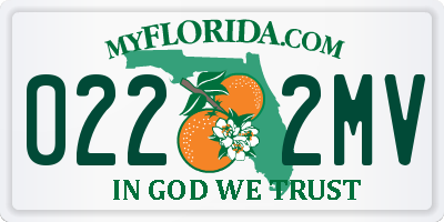 FL license plate 0222MV
