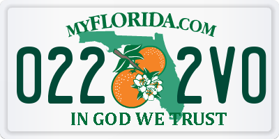 FL license plate 0222VO