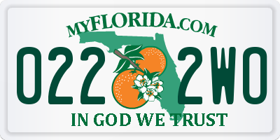 FL license plate 0222WO