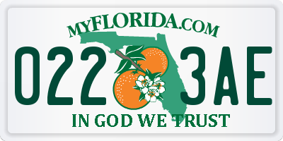 FL license plate 0223AE
