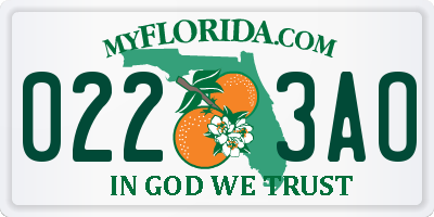 FL license plate 0223AO