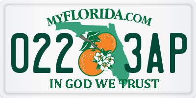 FL license plate 0223AP