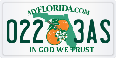 FL license plate 0223AS