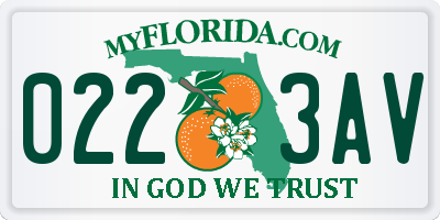 FL license plate 0223AV