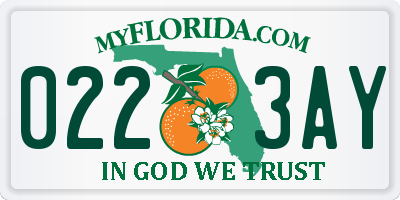 FL license plate 0223AY