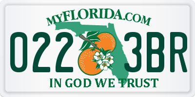 FL license plate 0223BR