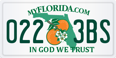 FL license plate 0223BS