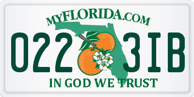 FL license plate 0223IB
