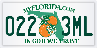 FL license plate 0223ML