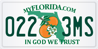 FL license plate 0223MS