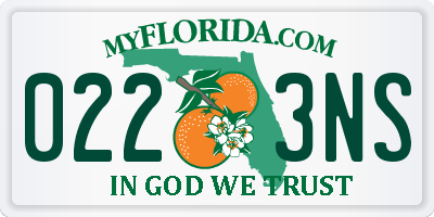 FL license plate 0223NS