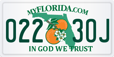 FL license plate 0223OJ