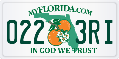 FL license plate 0223RI