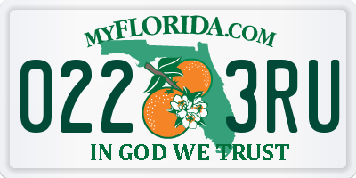 FL license plate 0223RU