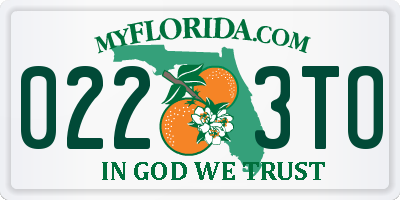 FL license plate 0223TO
