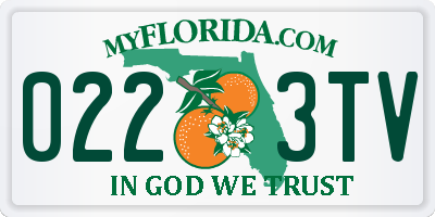 FL license plate 0223TV